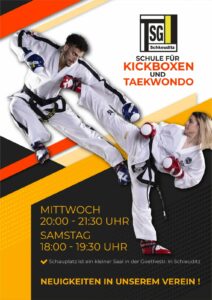 Taekwondo und Kickboxen